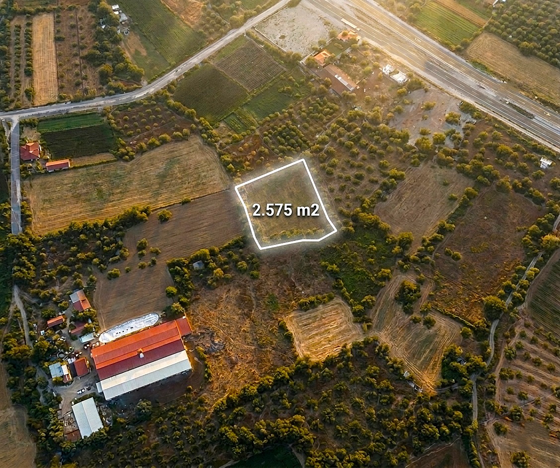 MUĞLA MİLAS DANİŞMENT’DE SATILIK FIRSAT TARLA
